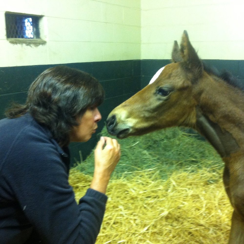 Meet your Posher, Linda